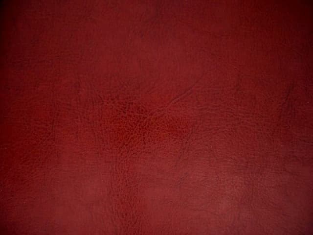 Skai Leer Bronco Glad